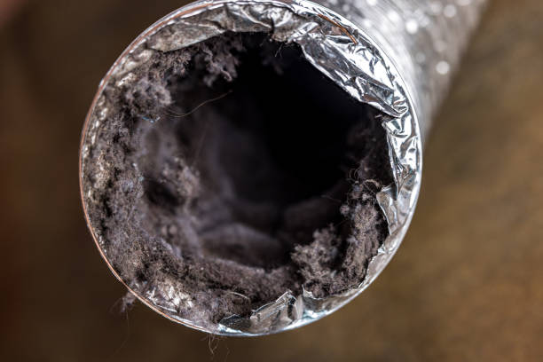 Best Best Air Duct Cleaning Company  in Bowman, ND